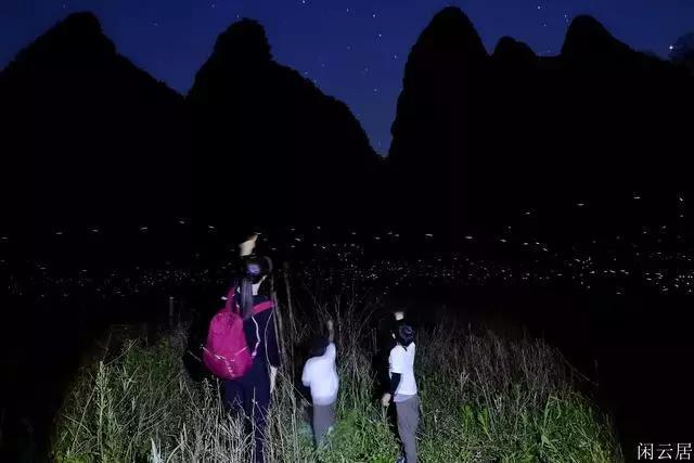帮南京文旅上分！腊八粥之外尝尝这种更具南京特色的粥